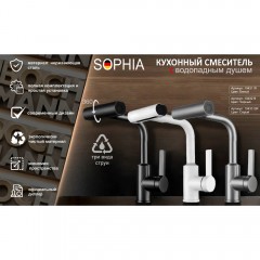 Смеситель для кухни Boch Mann Sophia GR BM10433