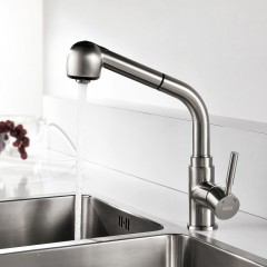 Смеситель для кухни WasserKRAFT Wern 4266